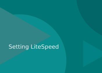 Setting LiteSpeed Cache untuk JNews: Panduan Optimasi WordPress di Navin.id