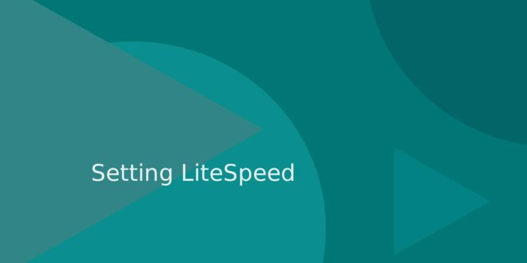 Setting LiteSpeed Cache untuk JNews: Panduan Optimasi WordPress di Navin.id